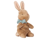 My first bunny blue fra Maileg - Tinashjem